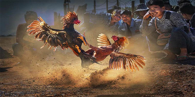 78win1 chơi bắn cá đổi thưởng