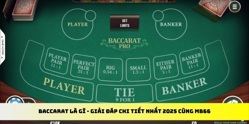 78win1 gà chọi cu cần
