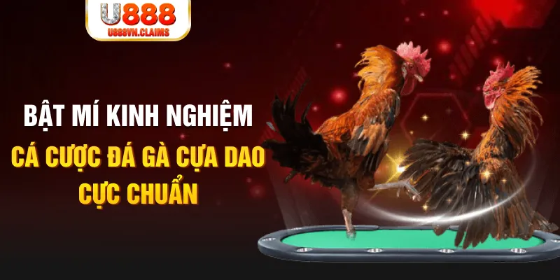 78win1 tỷ lệ cá cược châu á là gì