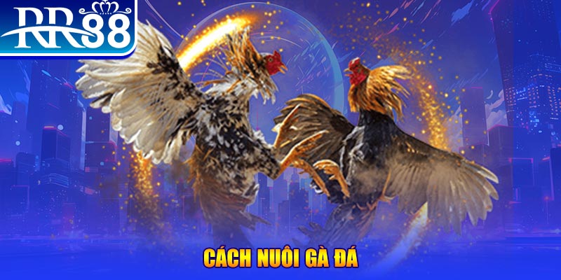 78win1 xổ số an giang