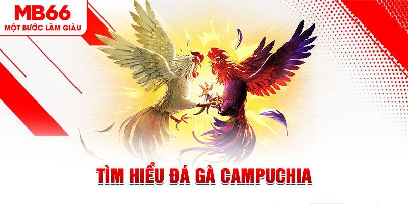 78win1 đá gà trực tiếp