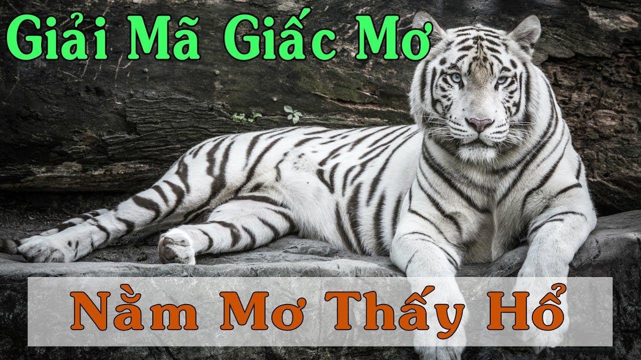 78win1 xổ số 3 miền