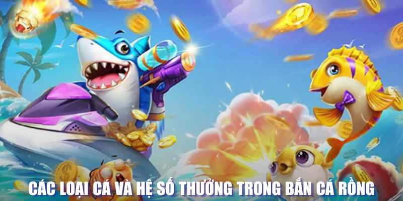 78win1 đăng nhập sòng bạc mới nhất