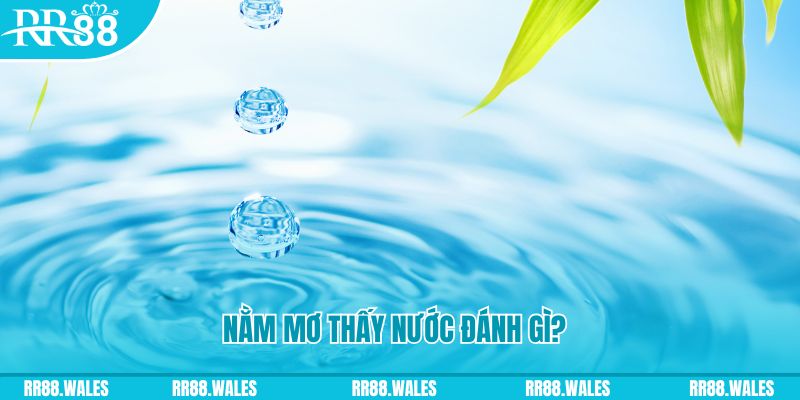 78win1 TP Bắn cá