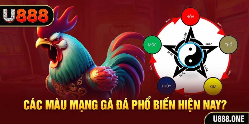 78win1 trực tiếp đá gà 88