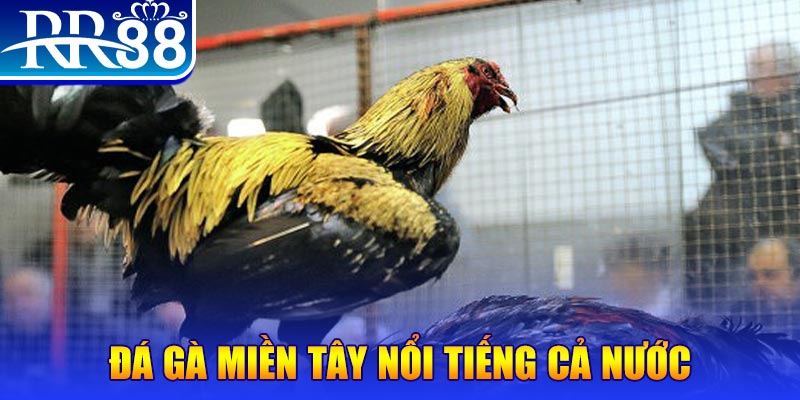 78win1 JILI Game Bài 3d
