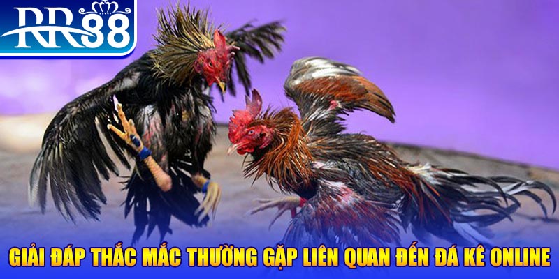 78win1 xổ số đà lạt