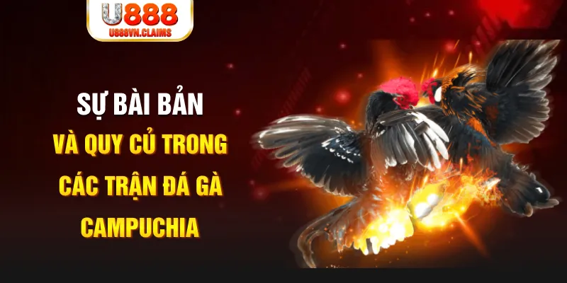 78win1 YGR Điện Tử
