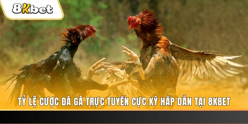 78win1 xổ số trực tiếp miền bắc