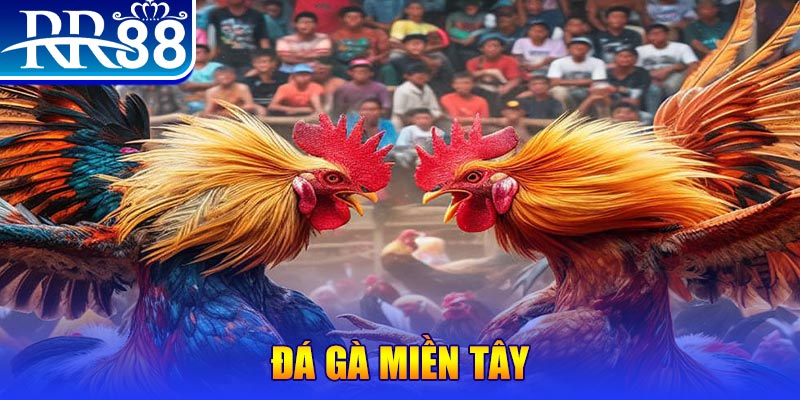 78win1 chơi slot là gì