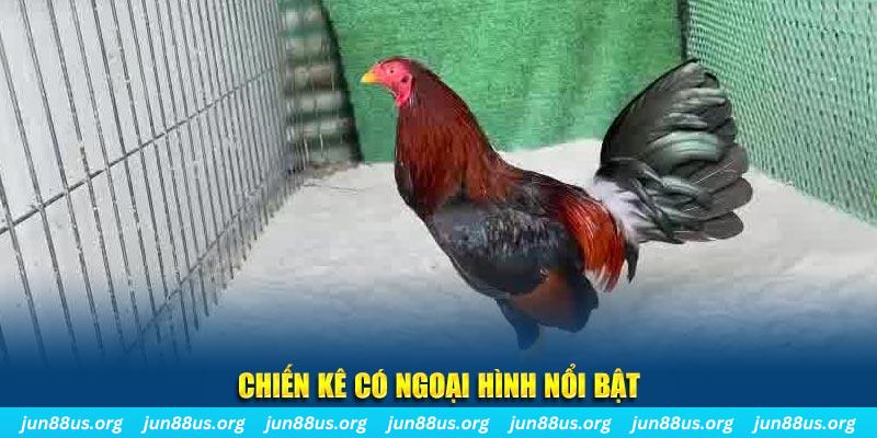 78win1 chạy quảng cáo cho game bài bị phạt như thế nào