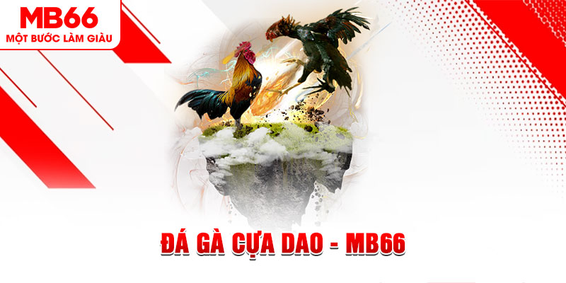 78win1 đá gà sv388 gold