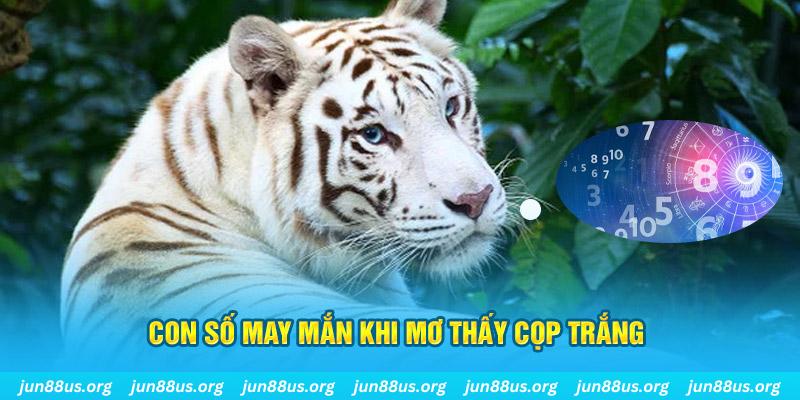 78win1 đá gà trực tiếp 88